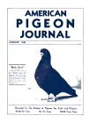 Magazine Cover